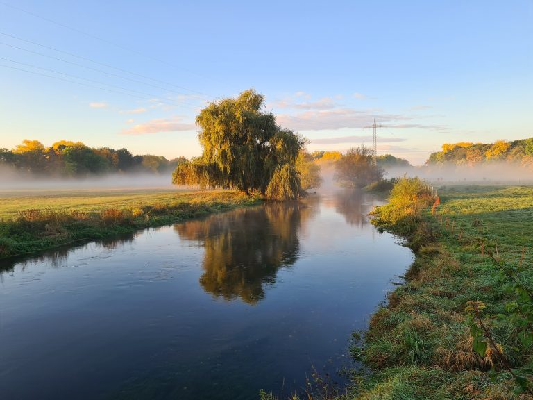 Schkeuditz-Weiße-Elster-Nebel-Region-Natur-Wasserstadt-Marcel-Horschig-leipzig-travel.jpg